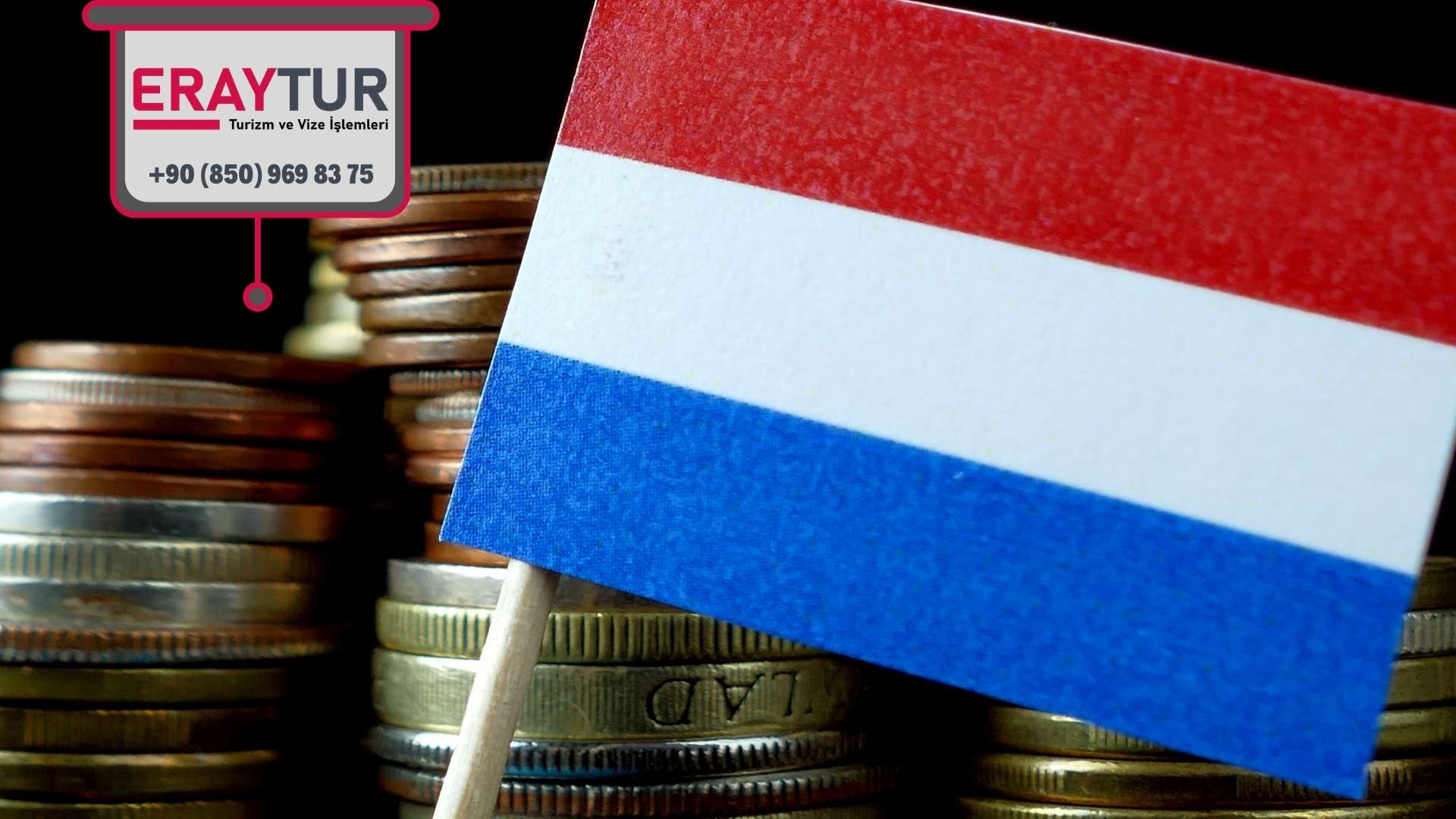 Hollanda Vize Danışmanlık Ücretleri