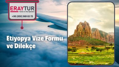 Etiyopya Vize Formu ve Dilekçe 1 – etiyopya vize formu ve dilekce 1