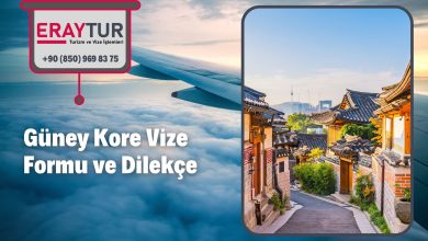 Güney Kore Vize Formu ve Dilekçe 2 – guney kore vize formu ve dilekce 1