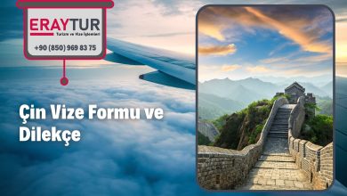 Çin Vize Formu ve Dilekçe 1 – in vize formu ve dilekce 1