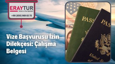 Vize Başvurusu İzin Dilekçesi: Çalışma Belgesi